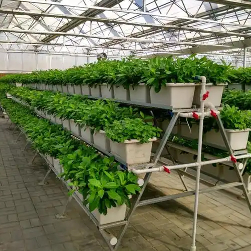 嘉峪关市植物工厂温室大棚 - 一站式服务