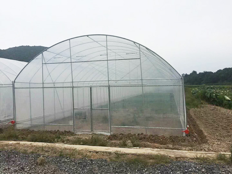 嘉峪关市薄膜大棚气雾培 - 厂家