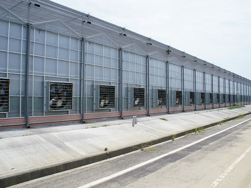 嘉峪关市玻璃大棚温室大棚 - 推荐